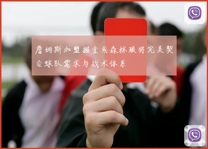 詹姆斯加盟掘金或森林狼将完美契合球队需求与战术体系