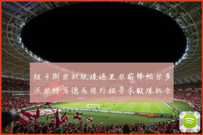 纽卡斯尔积极追逐里尔前锋帕尔多沃尔特马德或将外租寻求锻炼机会